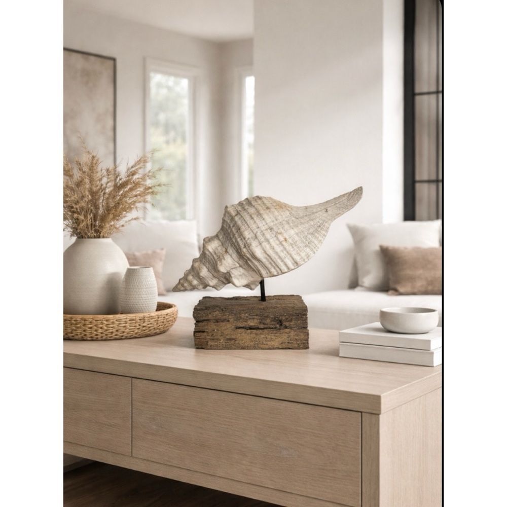 2005 House Parts Listers Conch Shell Stand in Museum White